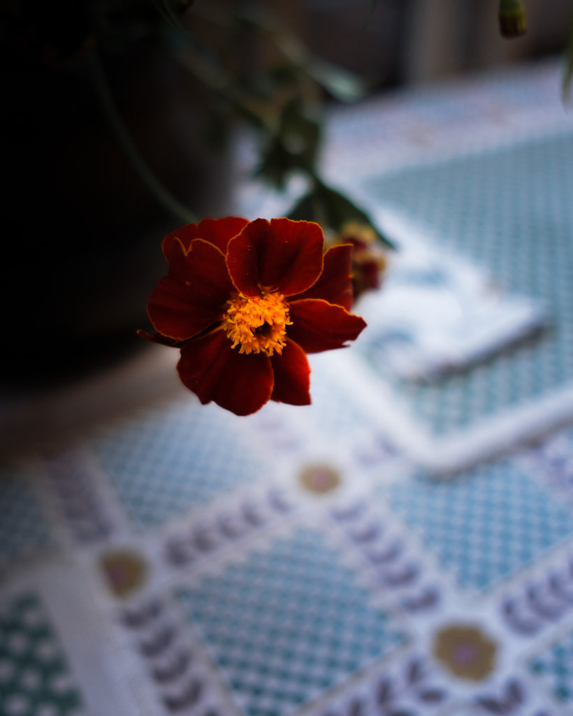 Tablescape Edit 5 - The Garden Trellis (Copy)