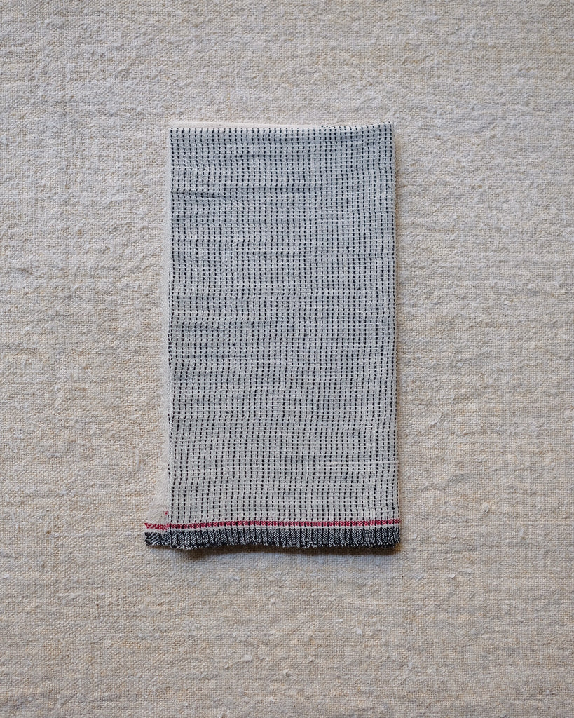 Seema - Organic Handwoven Napkins - Set of 4